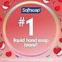 Softsoap Limited Edition Liquid Hand Soap, A+ Apple Scent, 11.25 oz. (61047393)~#|#~707CCBDD-89AD-4D59-A8C5B90CD31301A8_sc7
