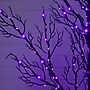 Nearly Natural Pre-Lit Halloween Minimalist Twig Artificial Fall Tree, 5' (T5161)~#|#~707CE1B8-834B-4188-8173E9A773D70ED3_sc7