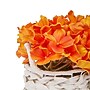 National Tree Company 10" Orange Hydrangea Bouquet in White Basket (MT81-01326GOR-1)~#|#~7083A184-62B8-4F14-B837C43E2516492D_sc7