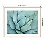 Amanti Art Agave Detail IV by Brittany Evans Wood Framed Wall Art Print, 41"W x 33"H (A42678978406)~#|#~70928669-E663-4682-AC36D631BFBF8CEC_sc7