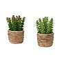 Monarch Specialties Inc. 7" Artificial Succulent Plants, 2/Set (I 9367)~#|#~7096BAFC-246B-4587-903AD76FC6D68DEE_sc7