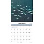 2027 Willow Creek Whales 12" x 12" Monthly Wall Calendar, Assorted Colors (62876)~#|#~70A02334-FA14-403B-9A757E7F4AFB08EB_sc7