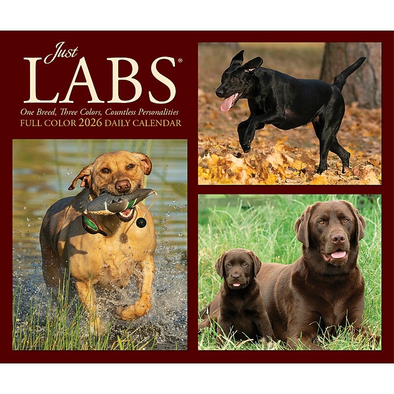 2026 Willow Creek Just Labs 6.2" x 5.4" Day-to-Day Calendar (54277) image 1