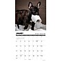 2027 Willow Creek Pardon My Frenchie 12" x 12" Monthly Wall Calendar, Assorted Colors (61725)~#|#~70C100AC-60B1-436D-ABF0D31C842F238B_sc7