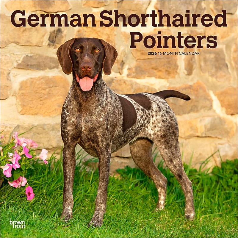 2026 BrownTrout German Shorthaired Pointers 12" x 12" Monthly Wall Calendar (9798330703401) image 1