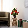 Nearly Natural 24-in Pre-Lit Fiber Optic Classic Star Topped Artificial Christmas Tree with Decorative Planter (T4751)~#|#~70C7C962-E230-4228-87777D412970F87C_sc7