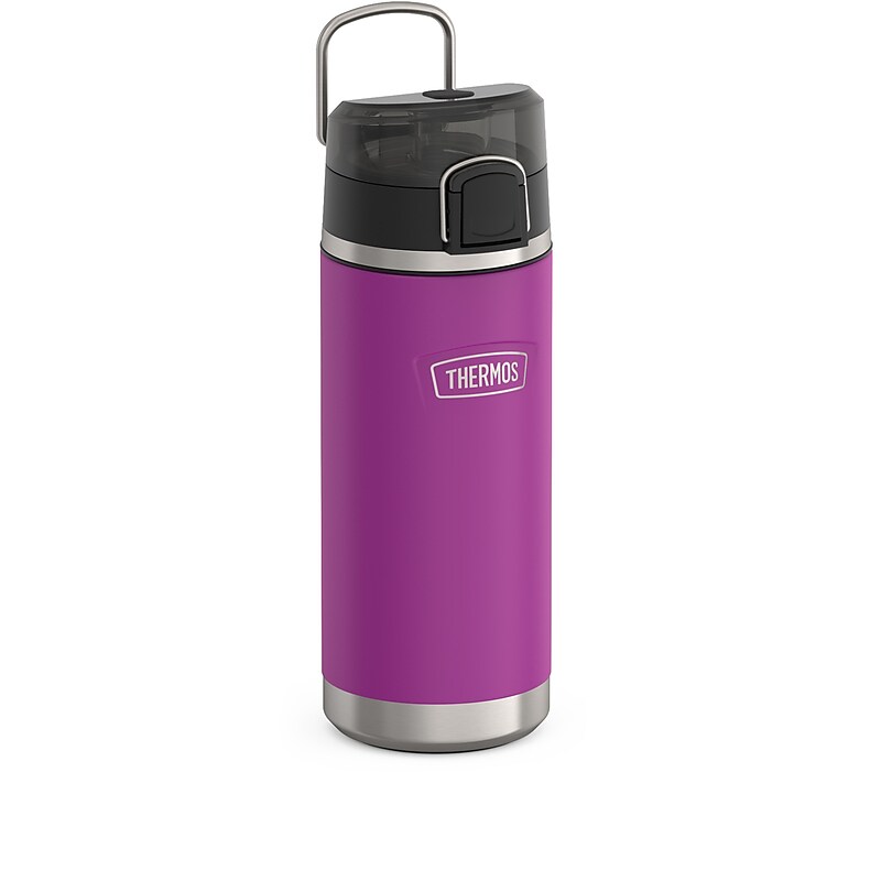 Thermos Icon Stainless Steel Vacuum Insulated Water Bottle, 18 oz., Plum (EAIS2504PL4) image 1