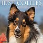 2026 Willow Creek Collies 12" x 12" Monthly Wall Calendar (50804)~#|#~71154816-9950-4BEB-A1F112823DD50881_sc7