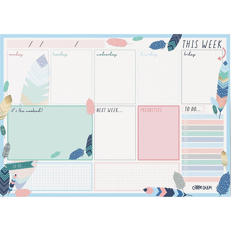 Carpe Diem Feathers 8.3" x 11.7" Weekly Planner, Multicolor, 6/Pack (9219-CD) image 1