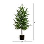 Nearly Natural Artificial Norfolk Pine Tree, 4' (T4708)~#|#~71375162-2F57-4C92-9F1ABBDB99251D79_sc7