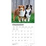 2027 BrownTrout Australian Shepherds 12" x 12" Monthly Wall Calendar (9798330712205)~#|#~713AD454-763E-4187-98A9B6AC74A9DB45_sc7