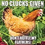 2026 Willow Creek No Clucks Given 12" x 12" Monthly Wall Calendar (52181)~#|#~713C1405-F6E0-490E-90D78A06B1E8068C_sc7