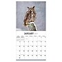 2027 TF Publishing Owls 11" x 12" Monthly Wall Calendar, Multicolored (27-1044)~#|#~71451AF1-7032-44D5-87D0C30D996A2BFB_sc7