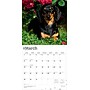 2026 BrownTrout Dachshunds 12" x 12" Monthly Wall Calendar (9798330703128)~#|#~714B1B7D-B8BB-4FC5-A0B04973FC8CBCFE_sc7