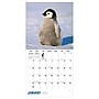 2027 TF Publishing Baby Animals 11" x 12" Monthly Wall Calendar (27-1000)~#|#~714EB45A-DB45-4D19-A108BCC517EA1BDF_sc7