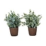 Monarch Specialties Inc. 13" Artificial Eucalyptus Grass Plant in Pot, 2/Set (I 9560)~#|#~715550A3-81C6-4CFD-BFD0EAC463A31392_sc7