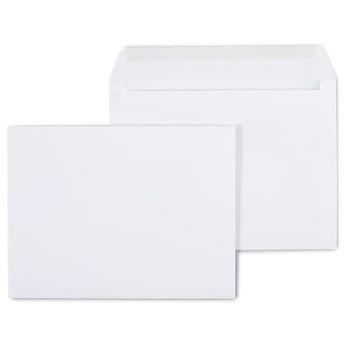 Staples Gummed Booklet Envelopes, 9