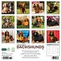 2026 Willow Creek Longhaired Dachshunds 12" x 12" Monthly Wall Calendar (55939)~#|#~719C6167-4F6B-4F55-AABA85400C12C4AF_sc7