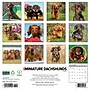 2026 Willow Creek Miniature Dachshunds 12" x 12" Monthly Wall Calendar (51924)~#|#~71A131BE-81B0-4326-84E0F477FE540D4A_sc7