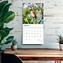 2026 BrownTrout Songbirds 12" x 12" Monthly Wall Calendar (9798330705634)~#|#~71AF3D01-35B1-4FA8-B133FAD2C3A04888_sc7
