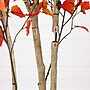 Nearly Natural 7' Autumn Birch Artificial Fall Tree (T4804)~#|#~71B1BEB2-ECA6-4A61-8EAC2A423D2A11EA_sc7