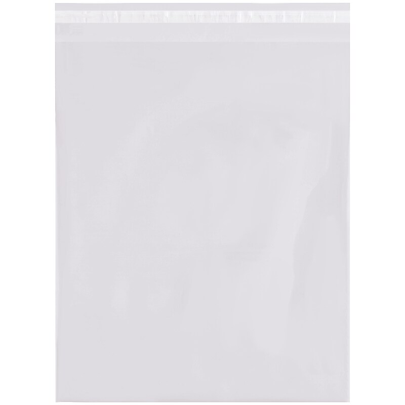 8" x 10" Reclosable Poly Bags, 1.5 Mil, Clear, 1000/Pack (PRR081015) image 1