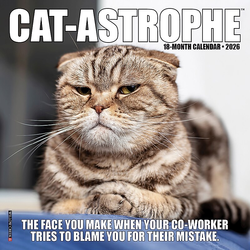 2026 Willow Creek Cat-astrophe 7" x 7" Monthly Wall Calendar (53492X) image 1