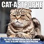 2026 Willow Creek Cat-astrophe 7" x 7" Monthly Wall Calendar (53492X)~#|#~71D1ED38-71AD-4AA6-9C03FAFDEDEFE768_sc7