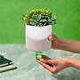 Lifelines Rosemary & Lemon Evaporative Aromatherapy Essential Oil Succulent Diffuser (11-1609)~#|#~71E062B5-048F-4331-B93EF2948A210985_sc7