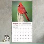 2026 TF Publishing Backyard Birds 12" x 12" Monthly Wall Calendar, Multi (26-1033)~#|#~71FF54B1-EBB4-4602-A6FDEC39D266542D_sc7