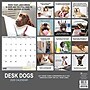 2026 TF Publishing Desk Dogs 12" x 12" Monthly Wall Calendar (26-1052)~#|#~72002759-38C0-49C2-9E31935CF8D82CE2_sc7