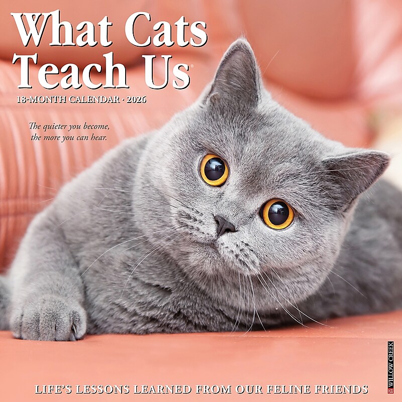 2026 Willow Creek What Cats Teach Us 12" x 12" Monthly Wall Calendar (53157) image 1