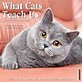 2026 Willow Creek What Cats Teach Us 12" x 12" Monthly Wall Calendar (53157)~#|#~72085CCC-BE43-4898-A3F33C0FD051A3C8_sc7