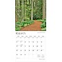 2026 BrownTrout Delaware Wild & Scenic 12" x 12" Monthly Wall Calendar (9798330703142)~#|#~72087F72-F687-4AAE-BA4BB8DF86500851_sc7