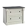 Sauder Palladia 2-Drawer Lateral File Cabinet, Letter/Legal Size, 29.63"H x 36.75"W x 22"D, Glacier Oak (432728)~#|#~72107B18-D8A5-4483-BB33778EFDD789BF_sc7