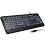 Delton KB20 Large Button/Key Keyboard with Backlight, Black (DBKBG20)~#|#~7221A6B8-B278-4F06-AE3332F488742E7D_sc7
