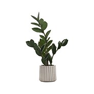 Monarch Specialties Inc. ZZ Plant in Pot (I 9500) | Staples
