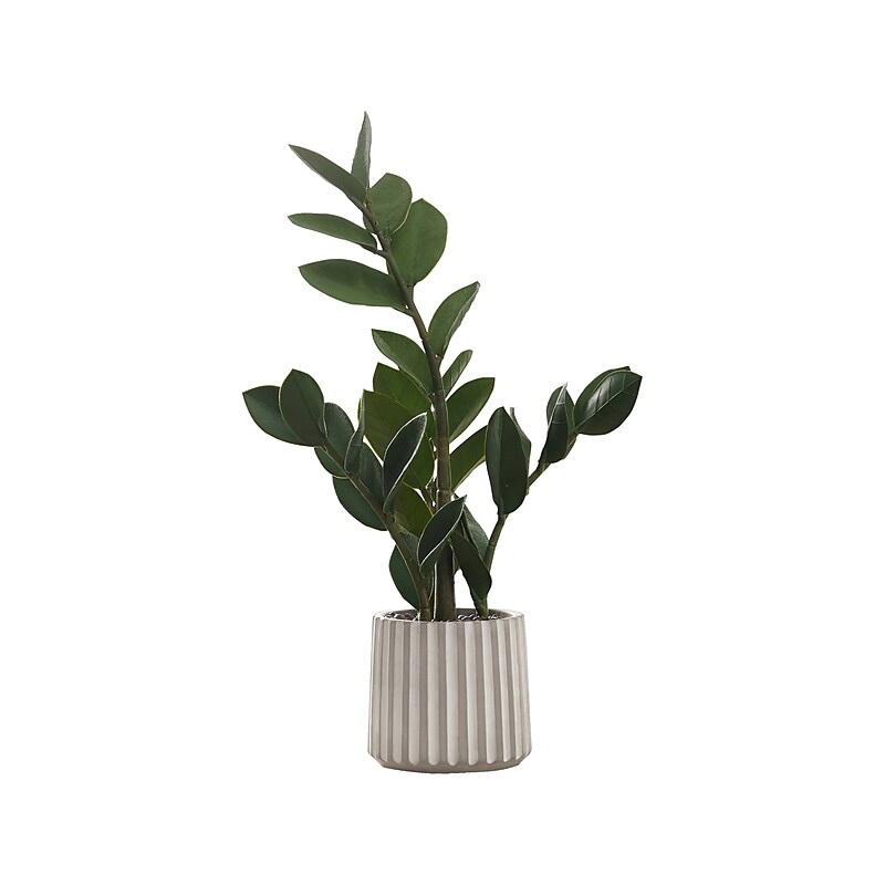 Monarch Specialties Inc. ZZ Plant in Pot (I 9500) image 1
