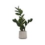 Monarch Specialties Inc. ZZ Plant in Pot (I 9500)~#|#~7235815B-0E88-41C8-A6E42CD5FDD07BE3_sc7