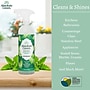 Absolute Green Eco-Friendly All-Purpose Cleaner, Peppermint Scent,  25 Fl Oz., 2/Pack (PEPALL-2PK) ~#|#~7243B400-F416-46D4-8D61A35F2BDBA4DA_sc7