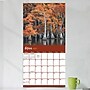 2027 TF Publishing Trees 10" x 12" Monthly Wall Calendar, Multicolored (27-1029)~#|#~724AF4E8-1780-4A2C-9FF0EEE393C81747_sc7