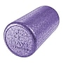 Jfit Foam Roller, Purple, 12" (WL12HDPL)~#|#~725029D7-893D-4A63-BD9D6B2A90E9DB21_sc7