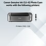 Canon 42 Photo Cyan Standard Yield Ink Cartridge (6388B002)~#|#~72556BF2-410C-46D0-BE1DC4F85DCE30B2_sc7
