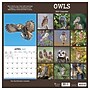 2027 TF Publishing Owls 11" x 12" Monthly Wall Calendar, Multicolored (27-1044)~#|#~7276D1D3-E0A5-4AB2-B66D79A9393863CA_sc7