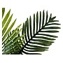 Monarch Specialties Inc. Palm in Basket (I 9503)~#|#~7277F2F7-312B-414D-B42E0E55BBA39DF6_sc7