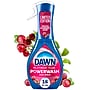 Dawn Powerwash Liquid Dish Soap Spray, Frosted Cranberry, 16 fl oz. (15940)~#|#~7280596F-B193-4A0F-8913220D2D3CFE28_sc7