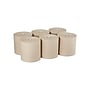 Pacific Blue Ultra Recycled Hardwound Paper Towels, 1-Ply, 6 Rolls/Carton (26495)~#|#~728DE799-6B78-446E-A3A9E473C5B47975_sc7