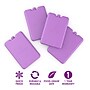 bentgo Insulated Ice Packs, Purple, 4/Pack (BGOICE-P)~#|#~729736F4-73D0-4181-B9F2014A6D32F49E_sc7