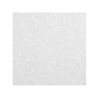 Armstrong ULTIMA Health Zone Lay-In Square Edge Ceiling Tile, 24" x 24", White, 10/Carton (BP1445)~#|#~7297611E-A742-4DD3-8AAD3AB2219D7E9B_sc7