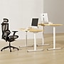 FlexiSpot ET155E 48"W Electric Rectangular Adjustable Standing Desk, Maple/White (ET155W-4824M)~#|#~72A26FD2-7473-4E55-8F03425614435922_sc7